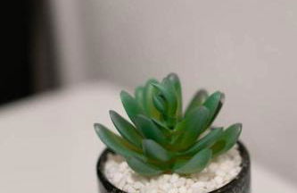 Fort Haven B: Gateway to Fort Cavazos and Killeen - Foto 18