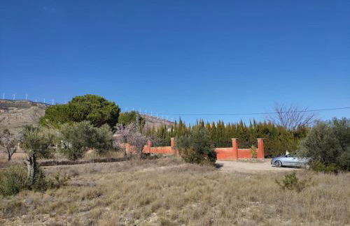 Aire Libre - Foto 14