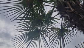 Ferienwohnung EDITH - Foto 3