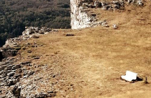 petit nid montagnard - Foto 6