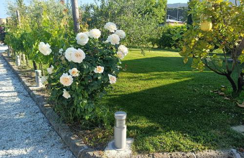 La casa di Samarcanda - Foto 7