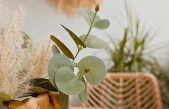 Sable & Pampas - Meublé de Tourisme 5 étoiles - Vue Panoramique & Terrasse - Climatisation - Plage à 200m - Foto 44