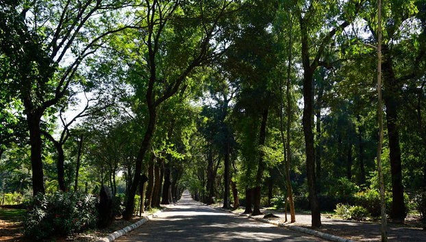 Botanical Garden Tour - Foto 2