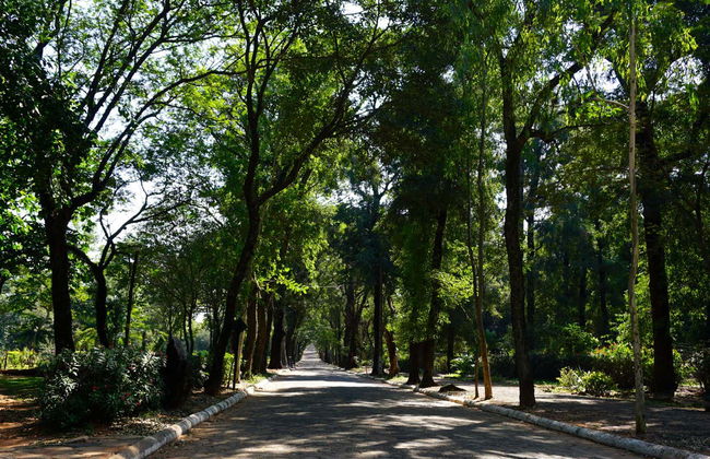 Botanical Garden Tour - Foto 1