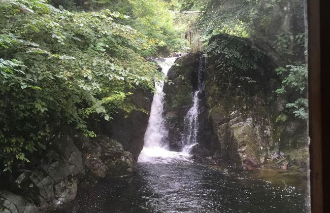 The Burnside Park Owners Club - Foto 10