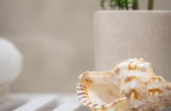 GILS Experience - Photo 32