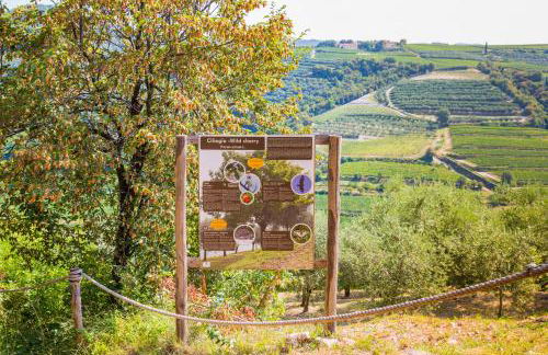 Agriturismo Casa Zen - Foto 47