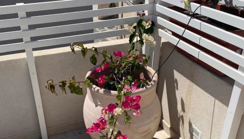 La casa di Tina a due passi dal centro - Foto 1