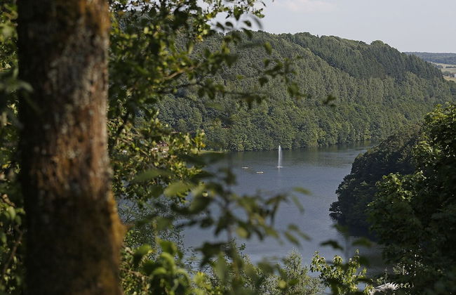 Landhaus Wald und See - Photo 15