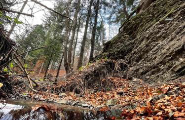 Mały Domek & Chatka Panorama - Foto 54