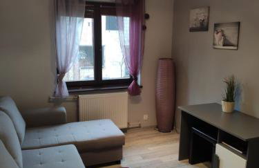 Apartament w Supraślu - Foto 31