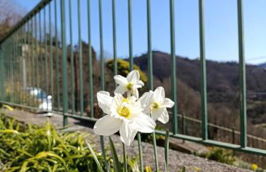 La Casa del Sole - Foto 31