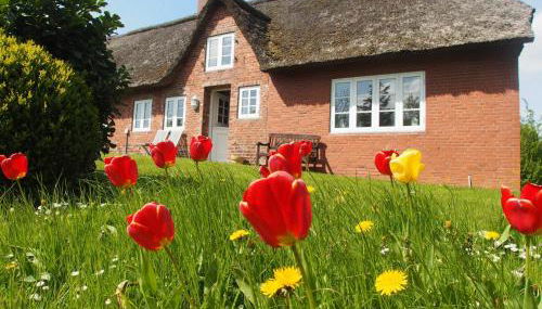 Ferienhaus Ockholm - Foto 2