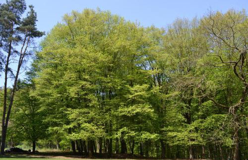 Zauber der Pfalz - Foto 67