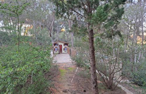 La Casa del bosque - Photo 24