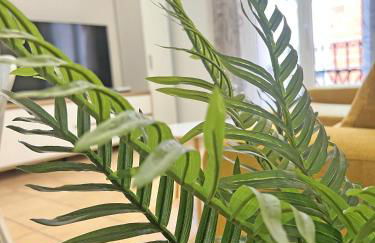 Puro Centro. 500m del mar. A/C - Photo 9