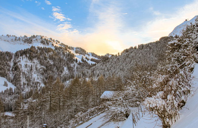 Chalet Les 3 Marmottes - Foto 20