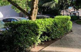 Studio avec parking privé en hyper centre - Foto 10