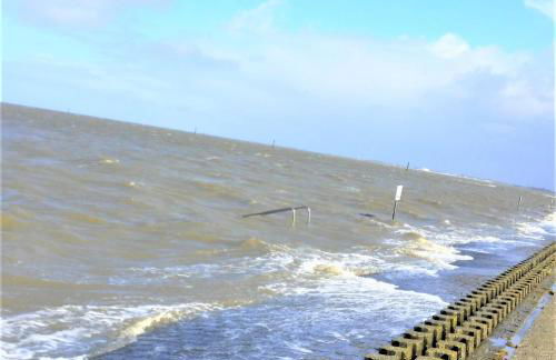 Nordsee Gulfhof 2 mit Garten Dornum 60 qm - Foto 25