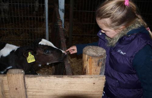 Ferienhaus auf dem Hof - Foto 21