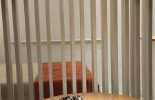 Loft Dream Rest II - Foto 40