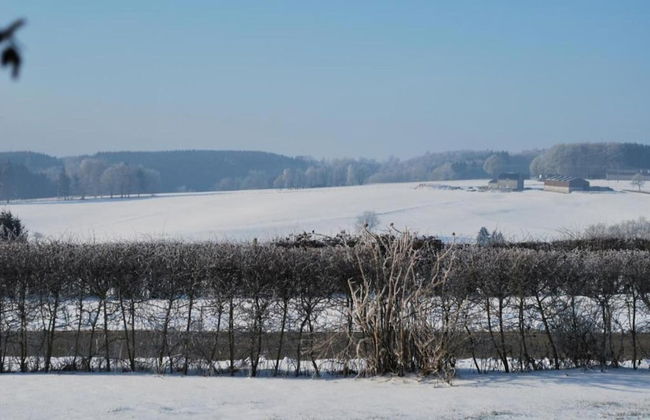 Holiday Home in Houffalize Near Nisramont - Photo 37
