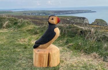 Clydfan No 1 Trearddur Road - Photo 80