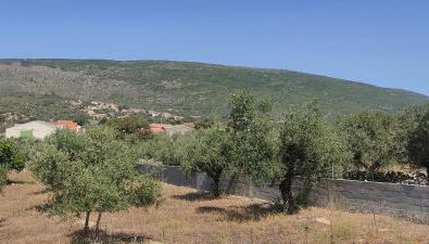 Casa do Avô Pedro - Photo 4