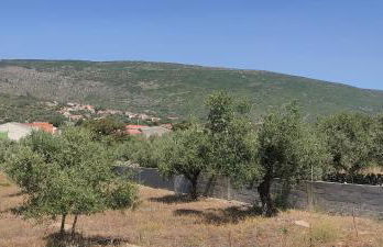 Casa do Avô Pedro - Foto 4