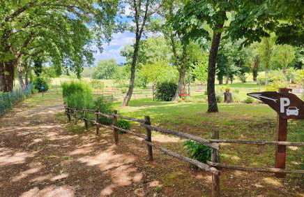 Locazione turistica nel verde Civita di Bagnoregio - Foto 27