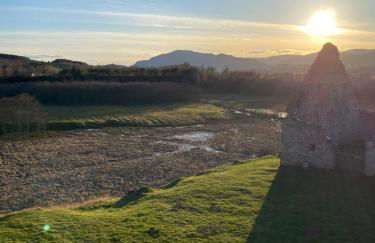 Old School - Foto 15