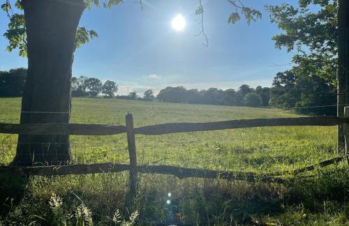 Motts Lodge - Photo 2