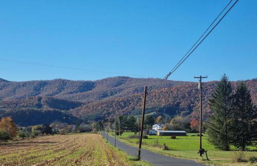 3BR Pet Friendly Cottage Mathias WV - Foto 35