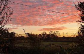 Lavender Cottage - Foto 36