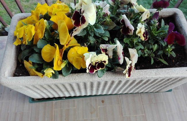 Agriturismo Le Rose - Foto 52