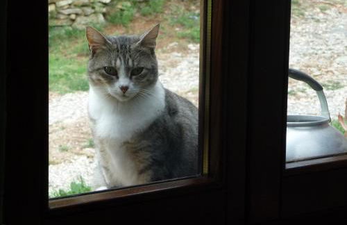 Podere Pian di Cava - Foto 19