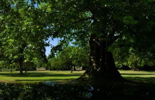 Château de Monceaux 5mn de Bayeux proche Mer - Foto 15