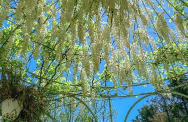 Madeleine: Luxury Villa in Italy - Foto 36