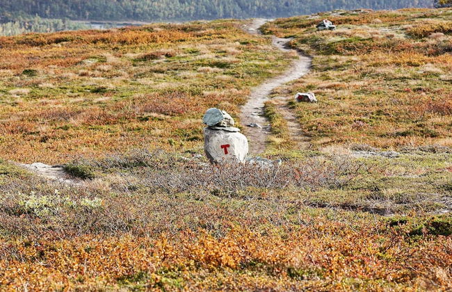 6 Person Holiday Home in Rennebu-by Traum - Foto 47