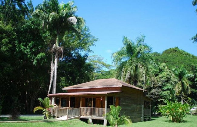 Chukka Appleton Estate & YS Falls - Negril - Foto 6