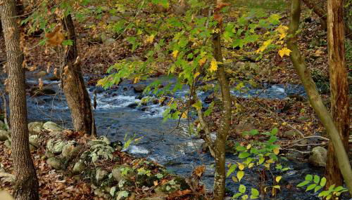 Jon's Pond on Cosby Creek - 2 Bedrooms, 2 Baths, Sleeps 6 Cabin by RedAwning - Foto 2