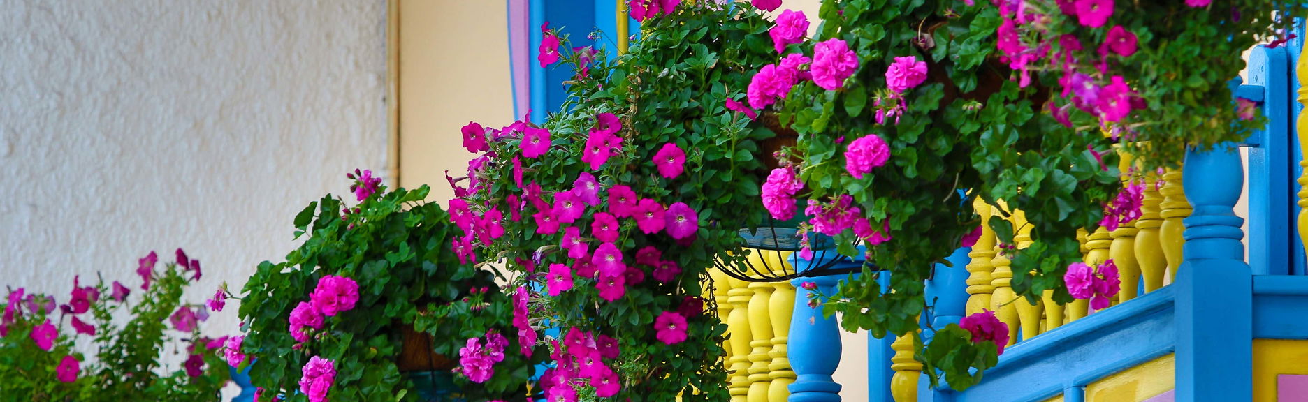 Filandia, Salento & Cocora Valley Day Trip