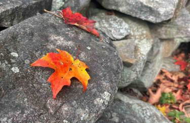 37 Wamphassuc Rd Château Stonington - Foto 40