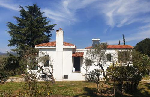 Villa Bianca Kavala - Foto 36