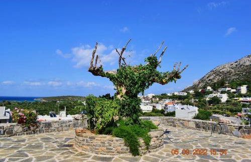 Istron MiraBella Villas - Foto 25