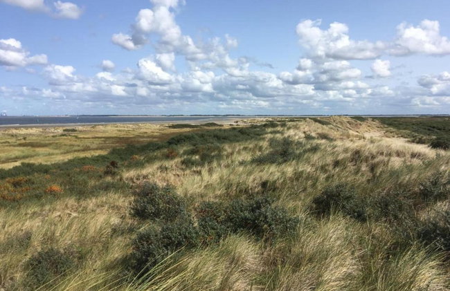 Chalet in Goedereede Near North Sea Beach - Foto 43