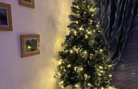 Springer Villa, 2 bed, Newquay - Foto 9