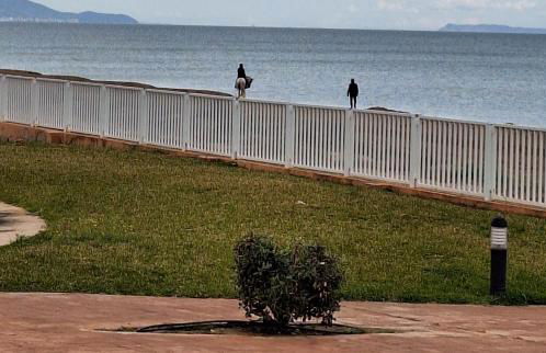 Mirador al Mar 85 Apartamento único sobre el mar - Photo 23