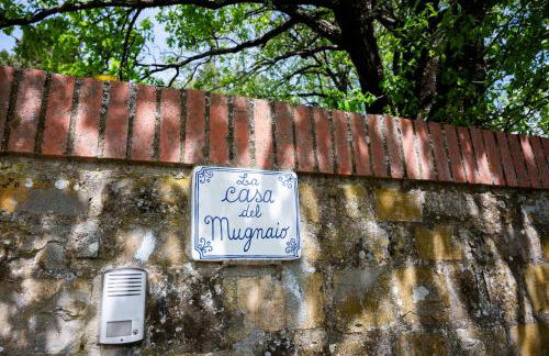 Florence Winery Country Villas - Fattoria Lavacchio - Foto 50