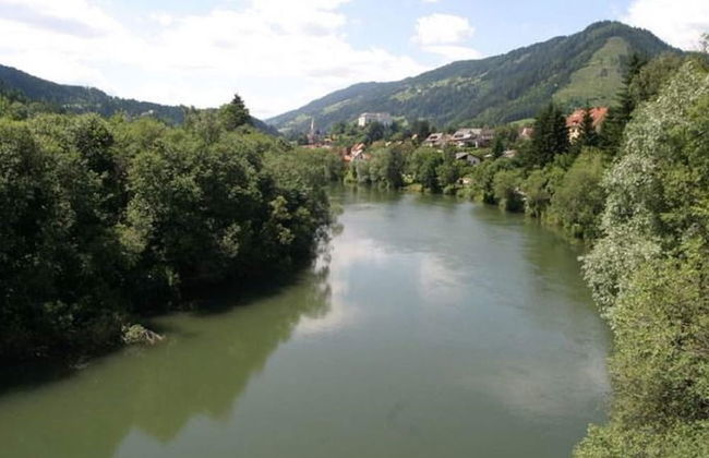 Holiday Home in Scheifling Near Ski Slopes - Foto 17